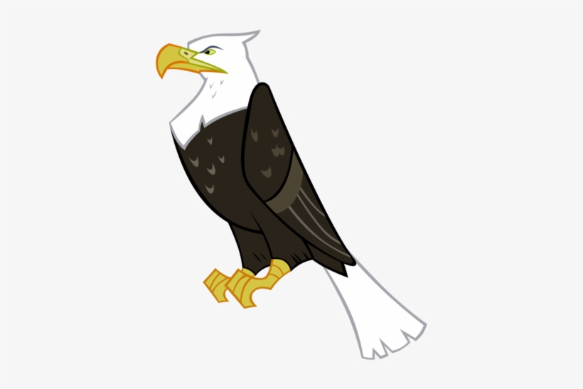 Eagle Vector Png Tamaã±o De Esta Previsualizaciã³n - Eagle, transparent png download