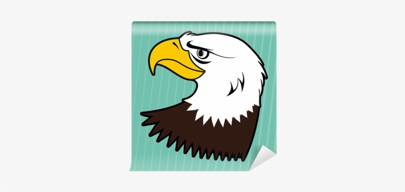 Bald Eagle, transparent png download