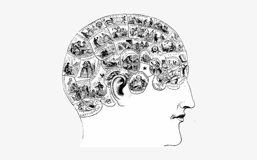 We've Finally Emerged From The Dark Ages Of Advertising - Matter And Memory - Book, transparent png download