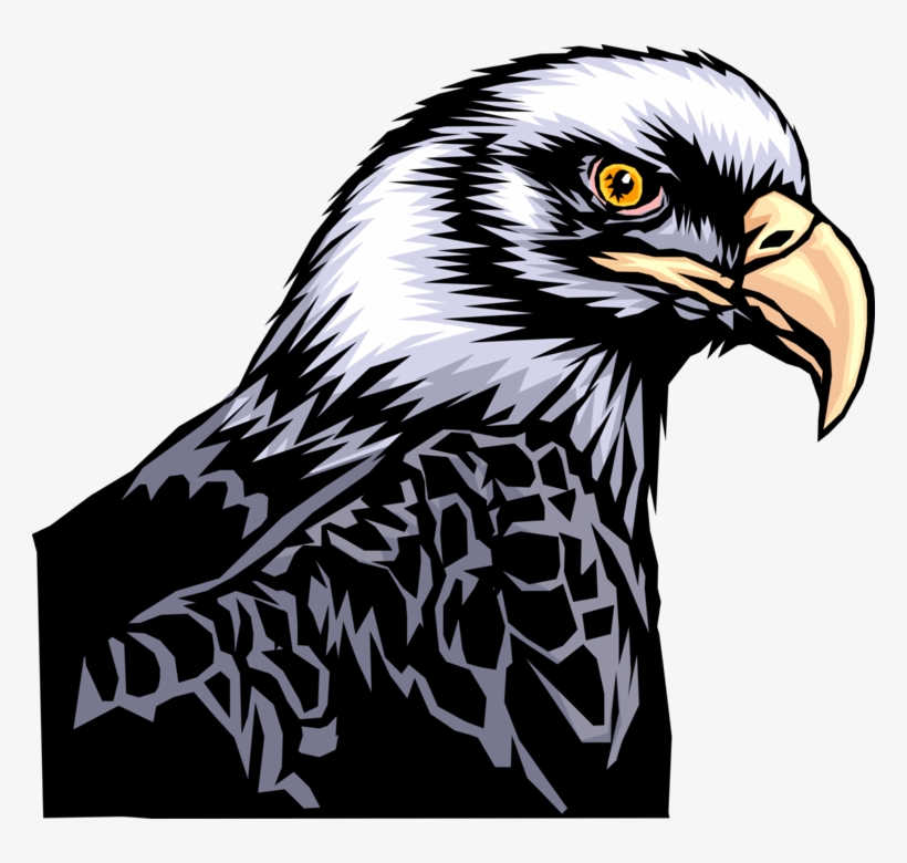 Vector Illustration Of American Bald Eagle National - Beautiful Eagles Art, transparent png download