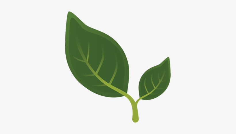 Greenhouse - Kontakt, transparent png download