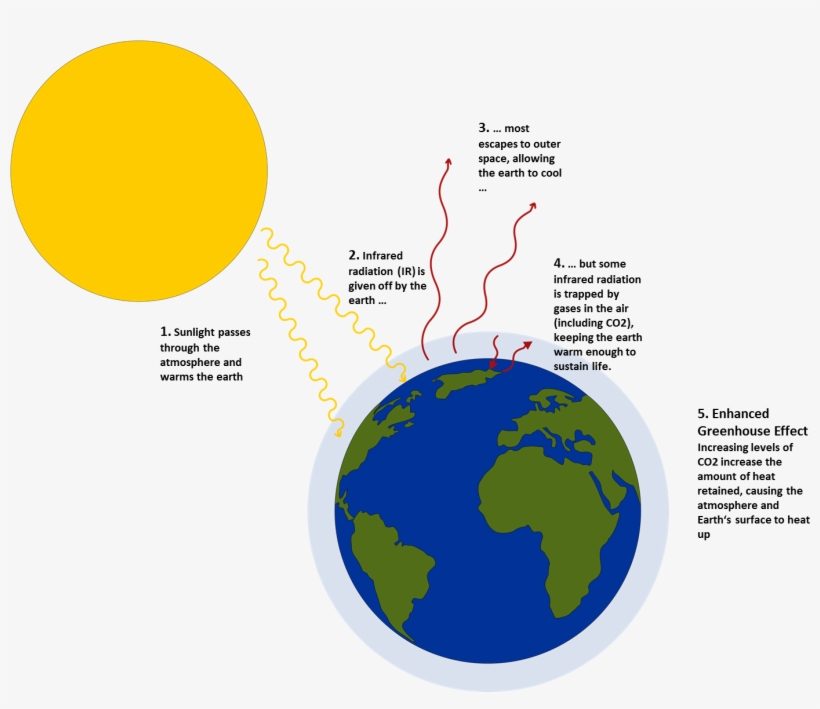 Team - - 2014 - Igem - Org Clip Free Stock - Greenhouse Effect A Level Chemistry, transparent png download