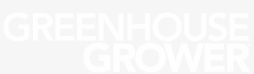 The Leader In Profits, Production, And Education For - Cant Force Anyone To Love Me, transparent png download