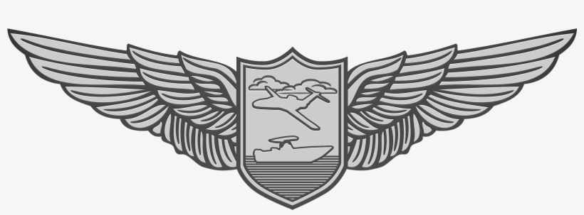 Hss Wings Final Silver - Army Aircrew Wings, transparent png download
