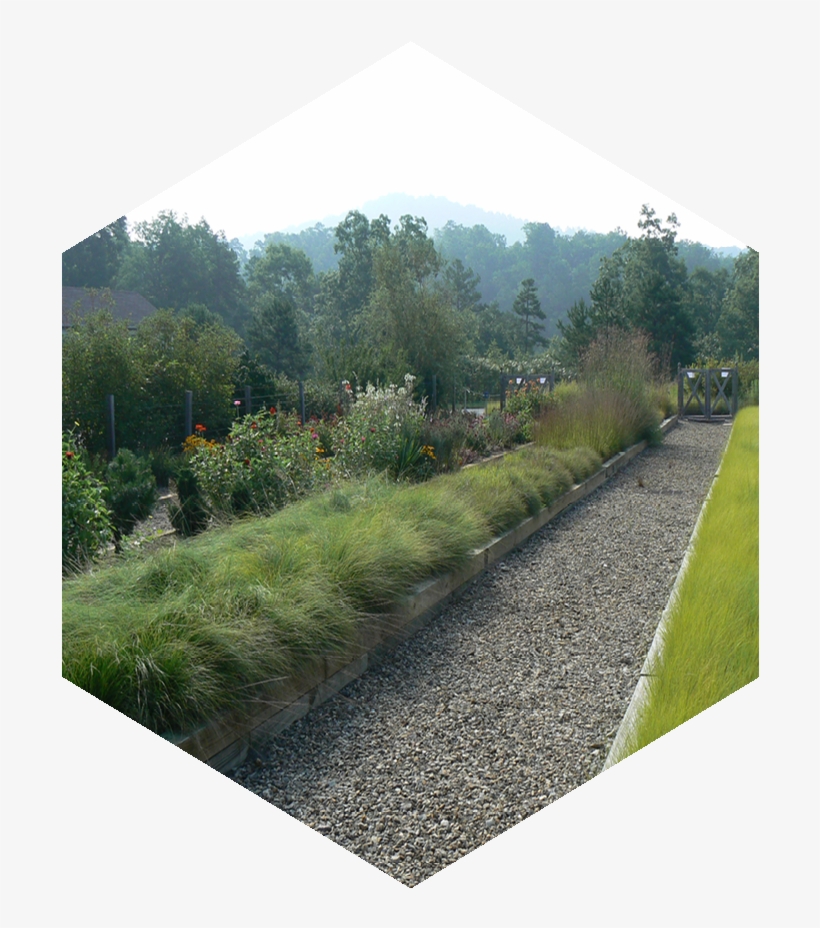 Ss Apps Horticulture1 Trans - Portable Network Graphics, transparent png download