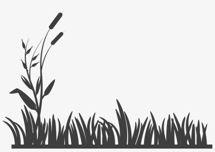 Featured image of post Grass Flower Vector Png