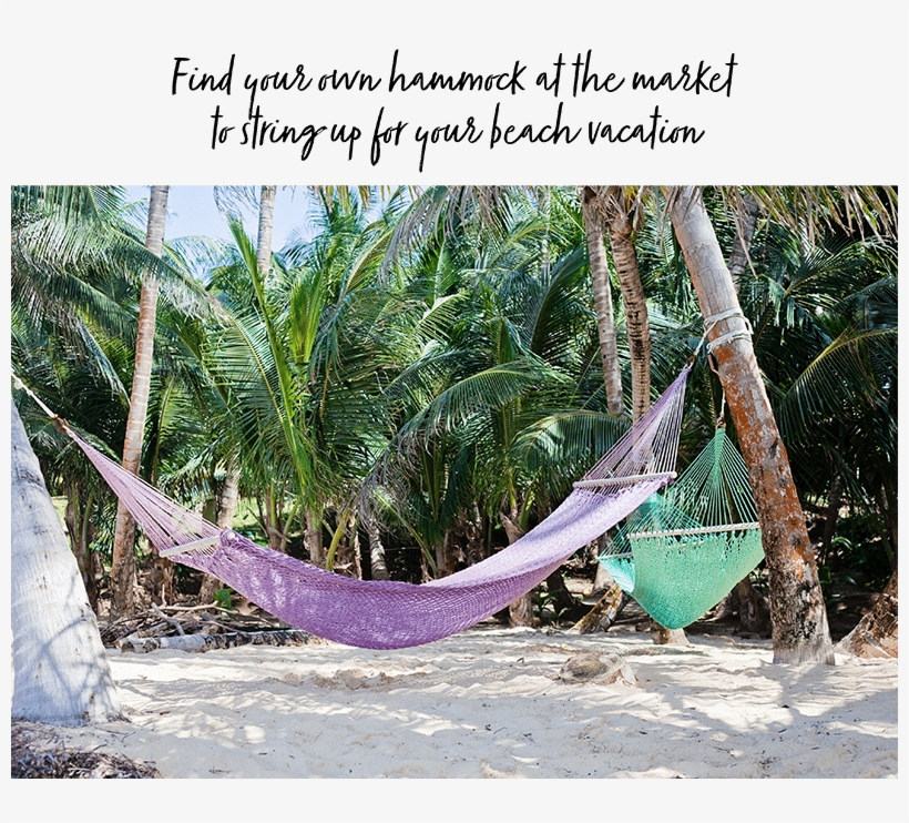 Hammock - Attalea Speciosa, transparent png download