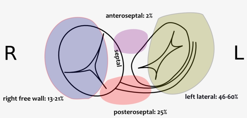Pathway Prevalence - Cinematography, transparent png download