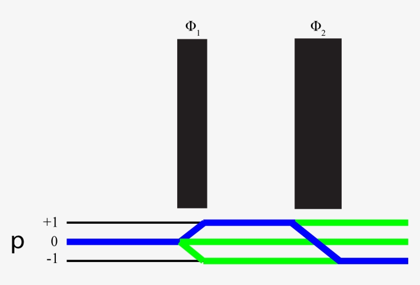 Coherence Pathway Hahn Echo Desired - Coherence Transfer Pathway Nmr, transparent png download