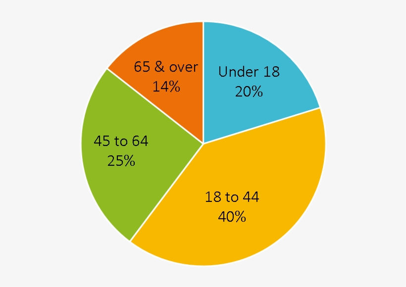 Bellevue Age Distribution, - Open Source Tripwire, transparent png download