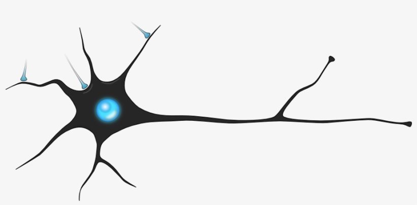 Neurons Synapses On Emaze Banner Freeuse Library - Neuron And Synapse Png, transparent png download