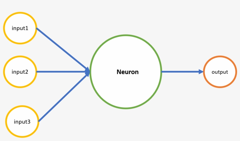Deep Learning Neuron - Neuron PNG Image | Transparent PNG Free Download ...