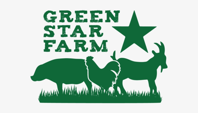 Green Star Standard - Twisted Envy Army Brat Camouflage Funny Mug, transparent png download