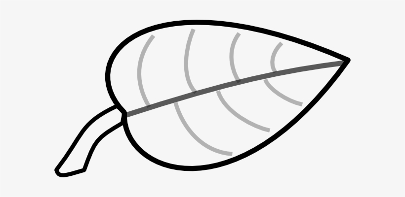 Leaf Outline Clipart Clipart Panda Free Clipart Images - Coloring Picture Of Leaf, transparent png download