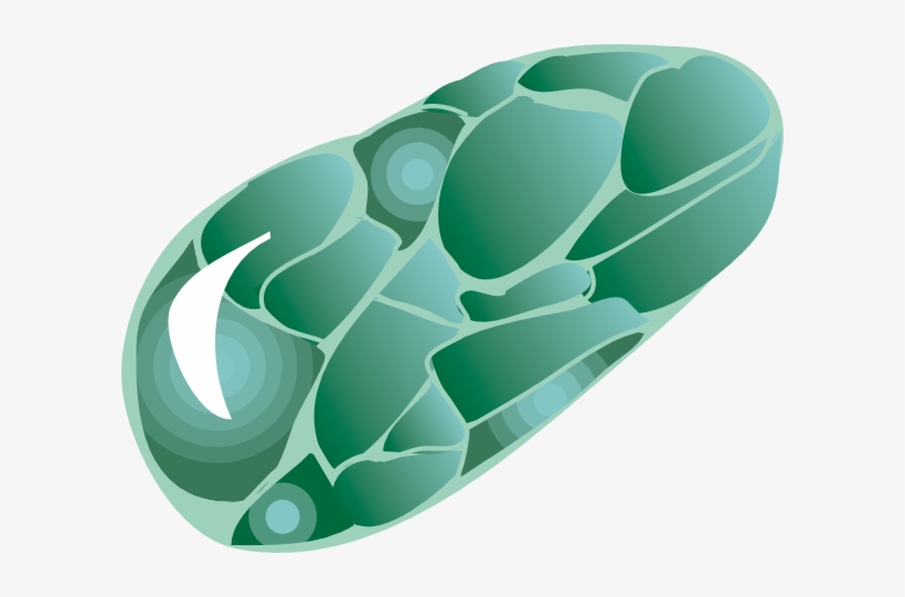 Stone Clip Art, transparent png download