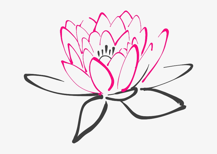 Water Lily - Spa Flower Clipart, transparent png download