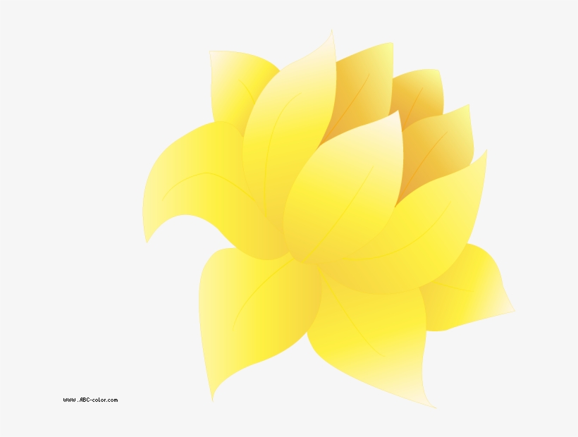 Download Bitmap Picture Water Lily - Sacred Lotus, transparent png download