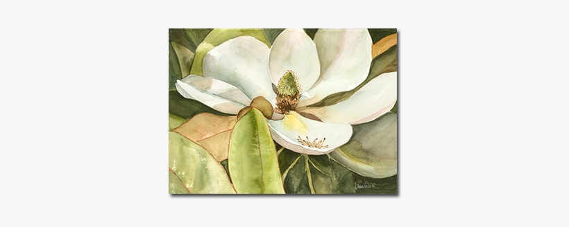 Watercolor Private Collection / Prints Available - Paint, transparent png download