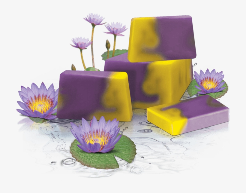 Water Lily Series - Glycerin Soap, transparent png download