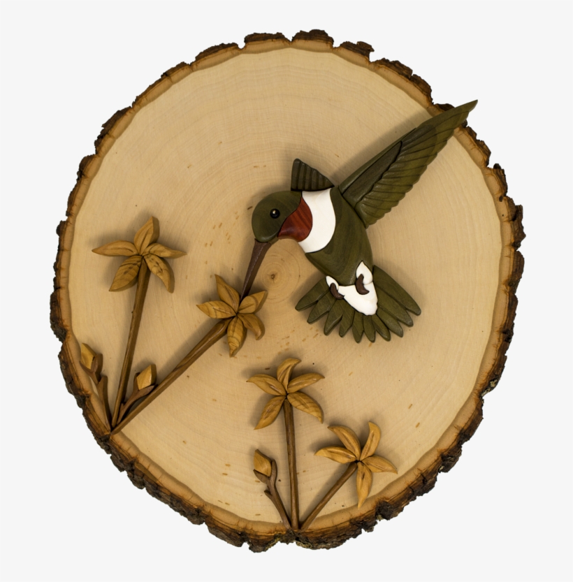 Related Posts - American Coot, transparent png download