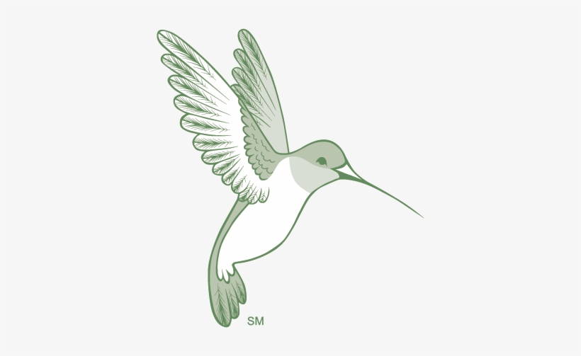 Pigeons And Doves, transparent png download