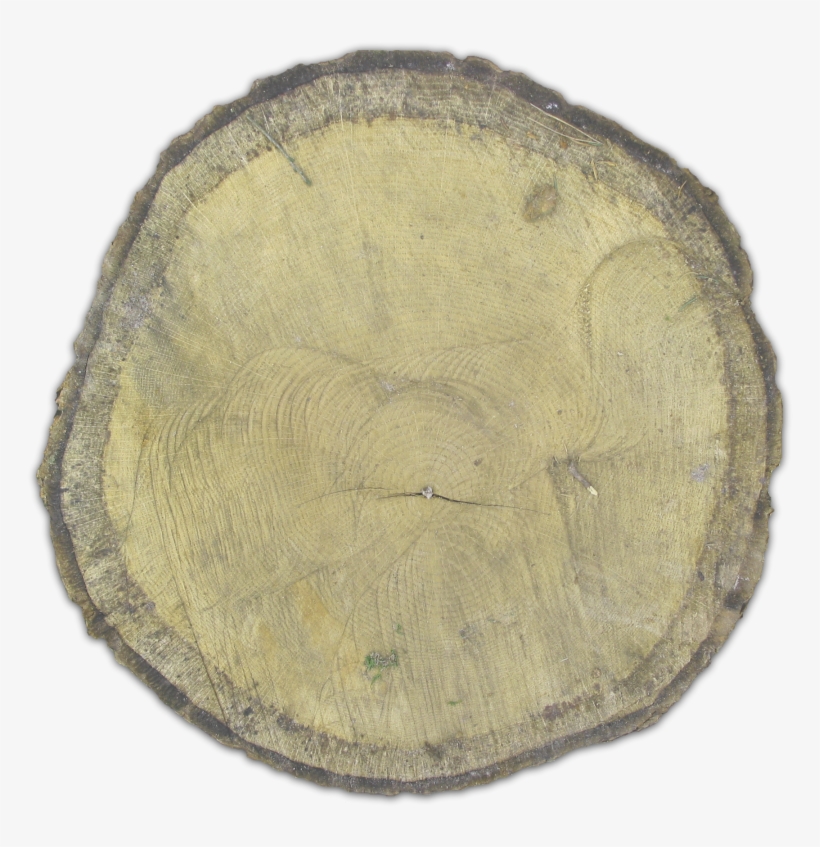 920k Stumpy Benwax 06 Feb 2009 - Lumber, transparent png download