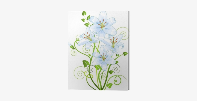 Lilly Flower, transparent png download