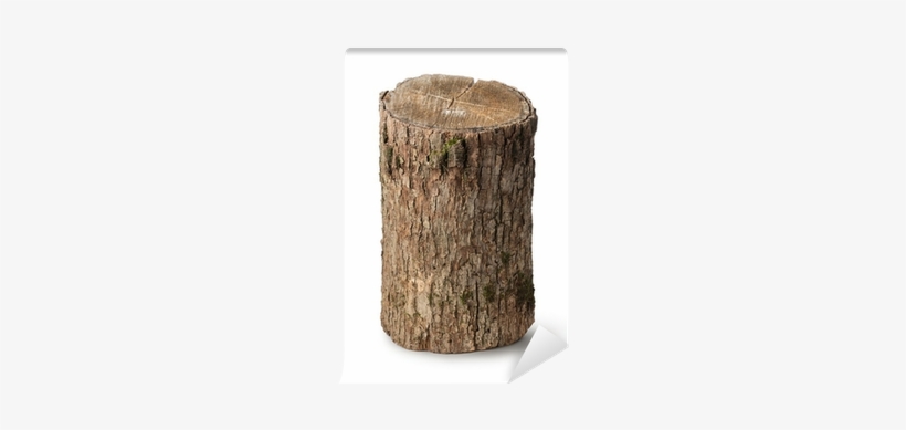 Tronco Vertical, transparent png download