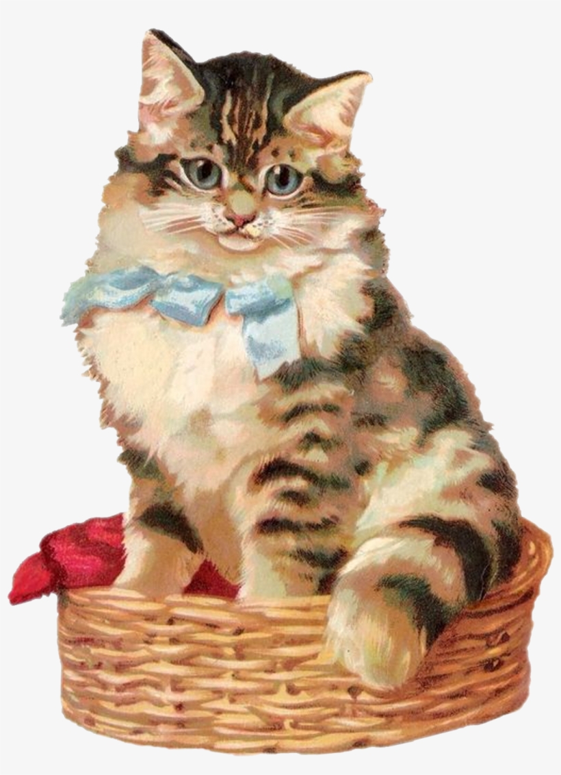 Cat In A Basket - Kitten, transparent png download