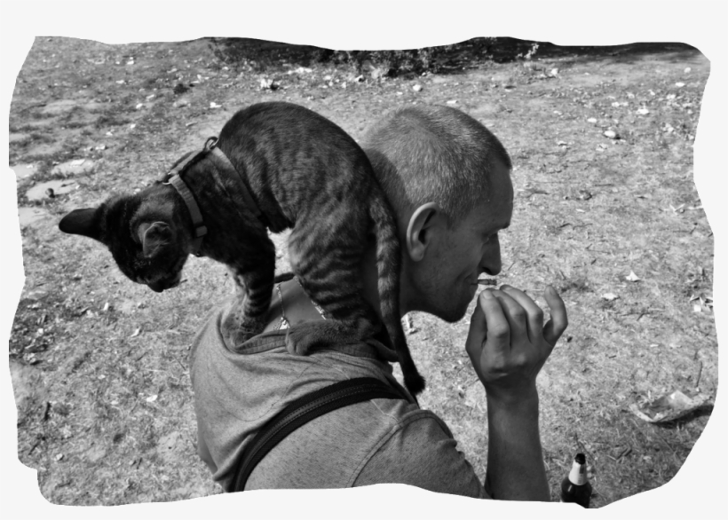 Why We Should Care About The Homeless - Cat Yawns, transparent png download