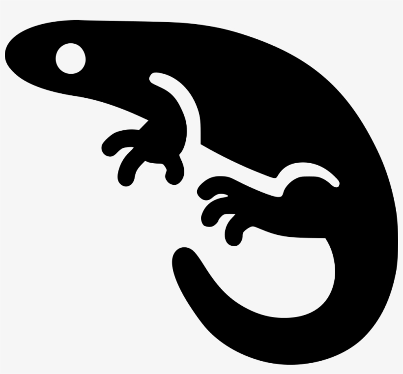 Png File - Svg Salamander, transparent png download