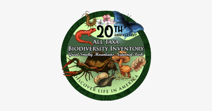 All Taxa Biodiversity Inventory 20th Anniversary Logo - Discover Life In America, transparent png download
