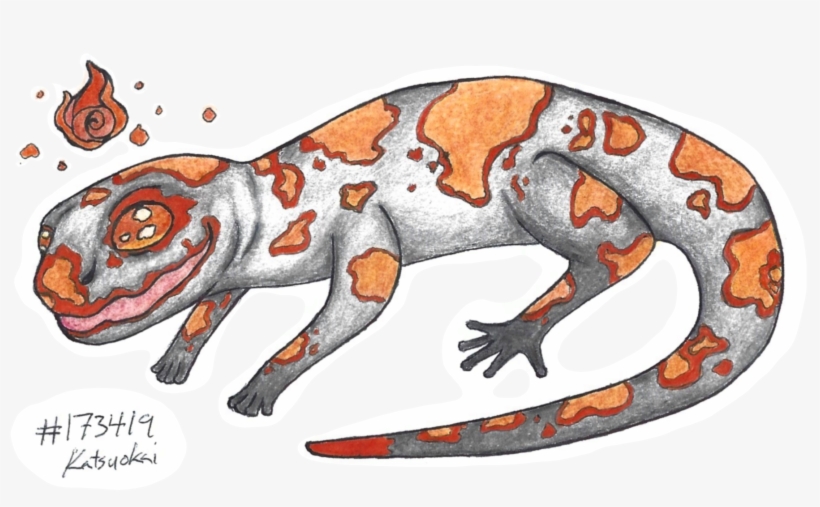 D9cbqyt - House Gecko, transparent png download