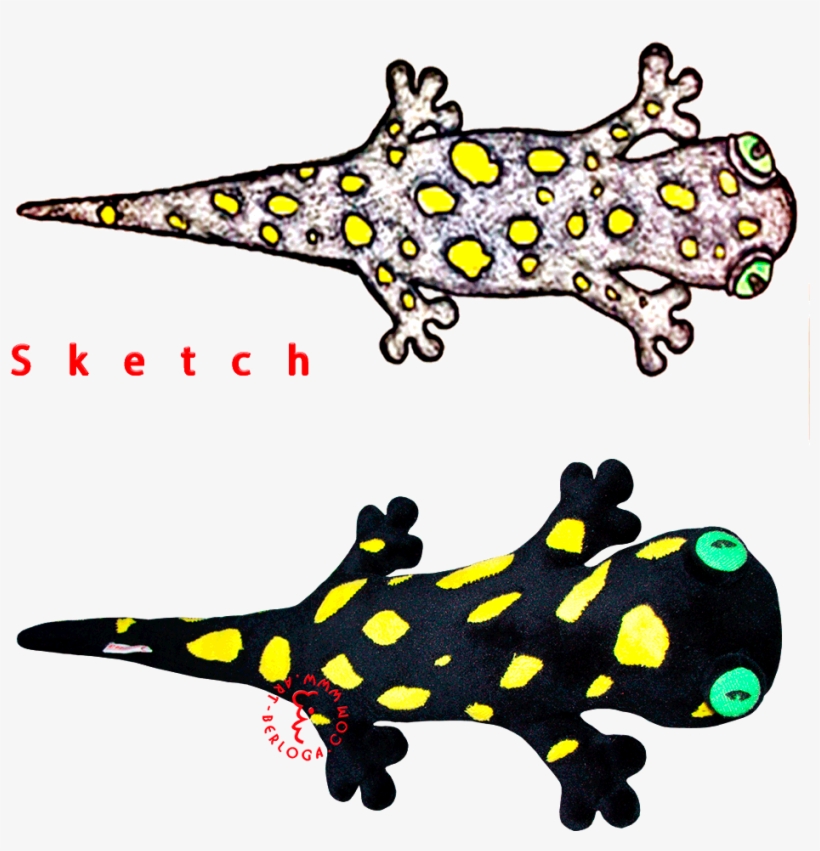 Plush Copy Of Lost Salamander - Salamander, transparent png download