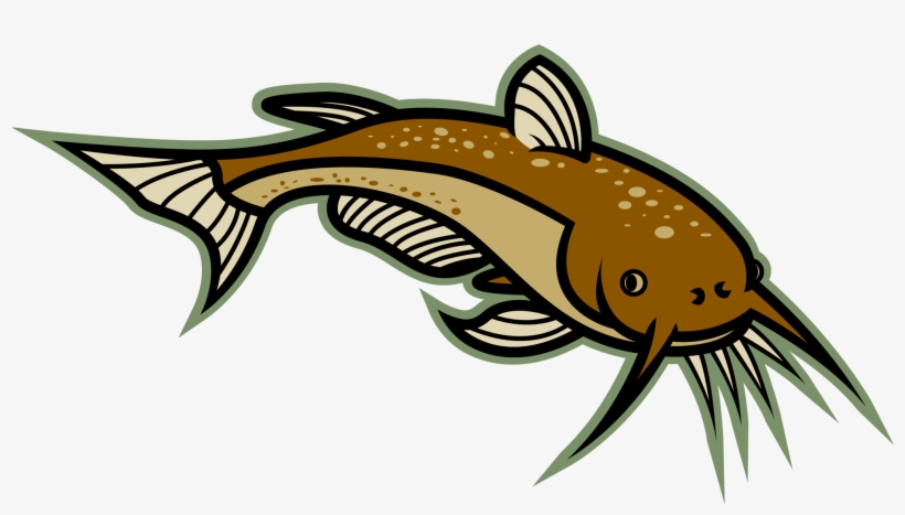 Download Image Of Best Clip Art Clipartoons - Catfish Clipart Png, transparent png download