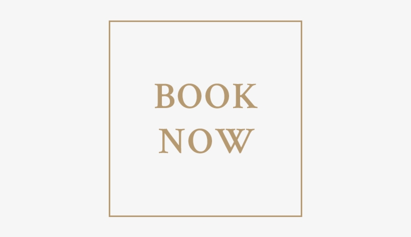 V2 Book Now - Book Now Gold Png, transparent png download