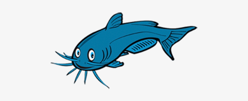Edward Cohen - Catfish Cartoon, transparent png download