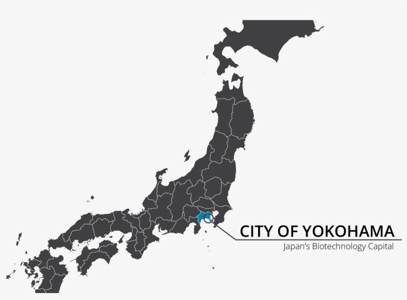 Capital Of Japan - Japan Vector Map, transparent png download
