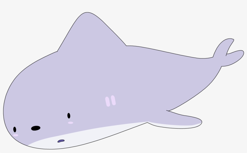 Shark - 2018, transparent png download