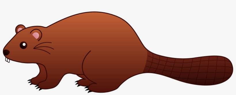 Clipart Beaver - Clip Art Beaver, transparent png download