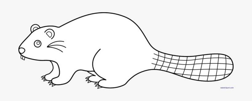 Clipart Resolution 700*250 - Beaver Clipart Black And White Png, transparent png download