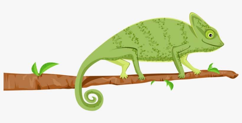 Vector Black And White Library By Mhbilder On Deviantart - Wall Decal, transparent png download