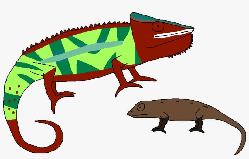 Animal Camouflage Chameleon - Common Chameleon, transparent png download