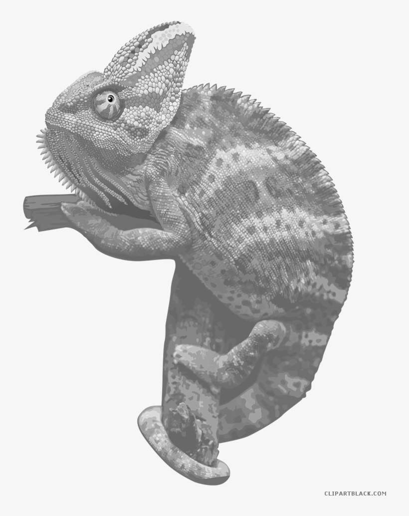 Chameleon Clipart - Personalisiertes Chamäleon Rundes Keramik Ornament, transparent png download