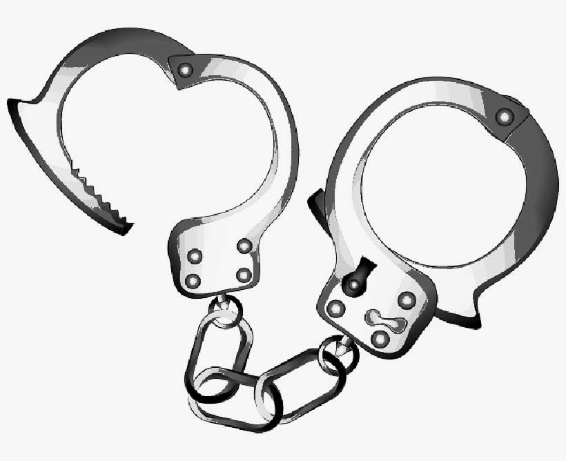 Mb Image/png - Joyce Mckinney And The Case Of The Manacled Mormon, transparent png download