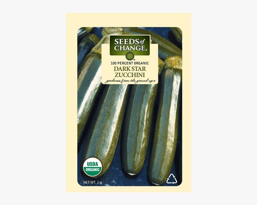 Organic Dark Star Zucchini Squash Seeds - Squash Black Beauty Zuchinni Organic Seed, transparent png download
