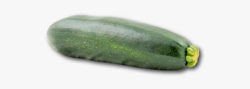 Australia Green Zucchini - Zucchini, transparent png download