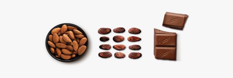 Chocolate Almond Png - Chocolate With Almonds Png, transparent png download