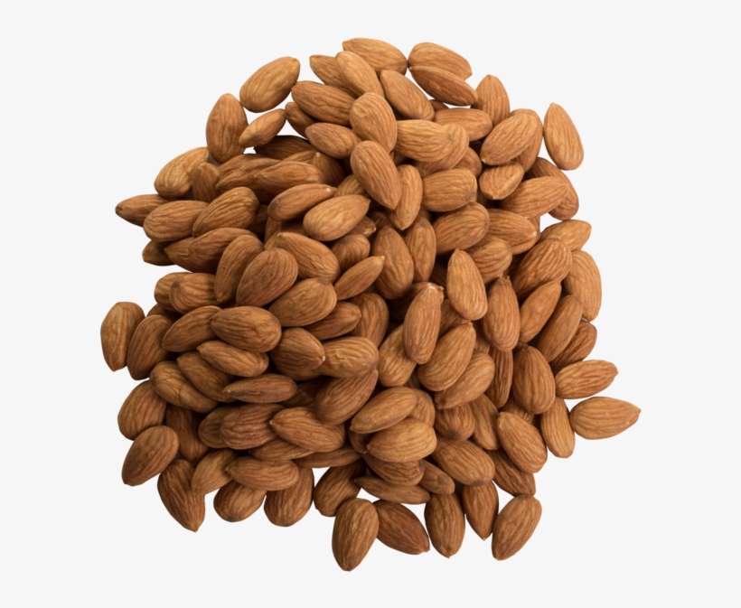 Almond Top View Png, transparent png download