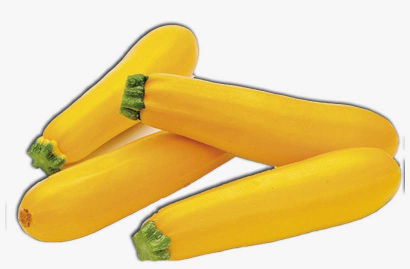 Zucchini - Vegetable, transparent png download